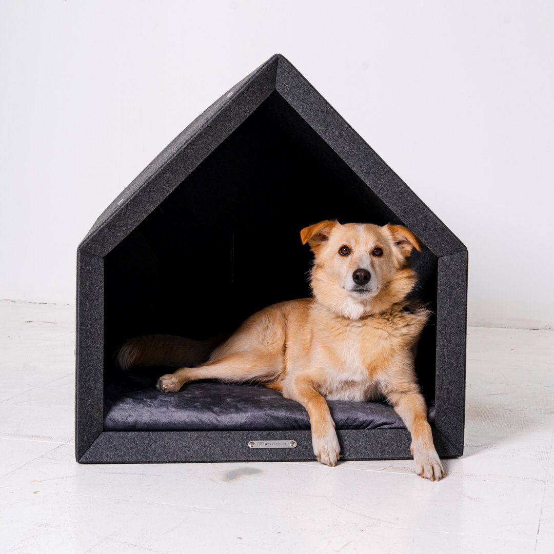 Warum ein Indoor Hundehaus der ideale Rückzugsort für deinen Hund ist