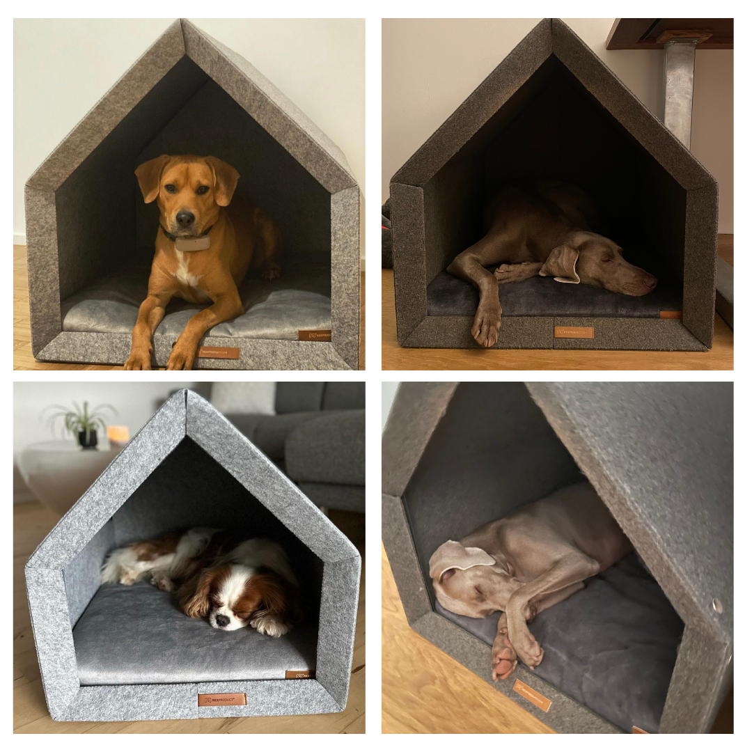 PETHOME – Mehr als ein Hundebett, ein echtes Zuhause!