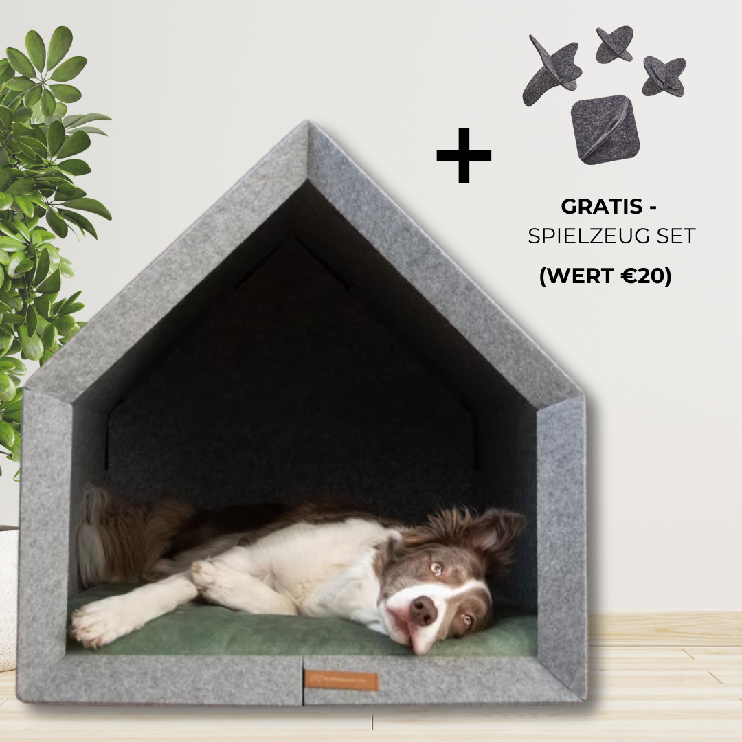PETHOME – Mehr als ein Hundebett, ein echtes Zuhause!