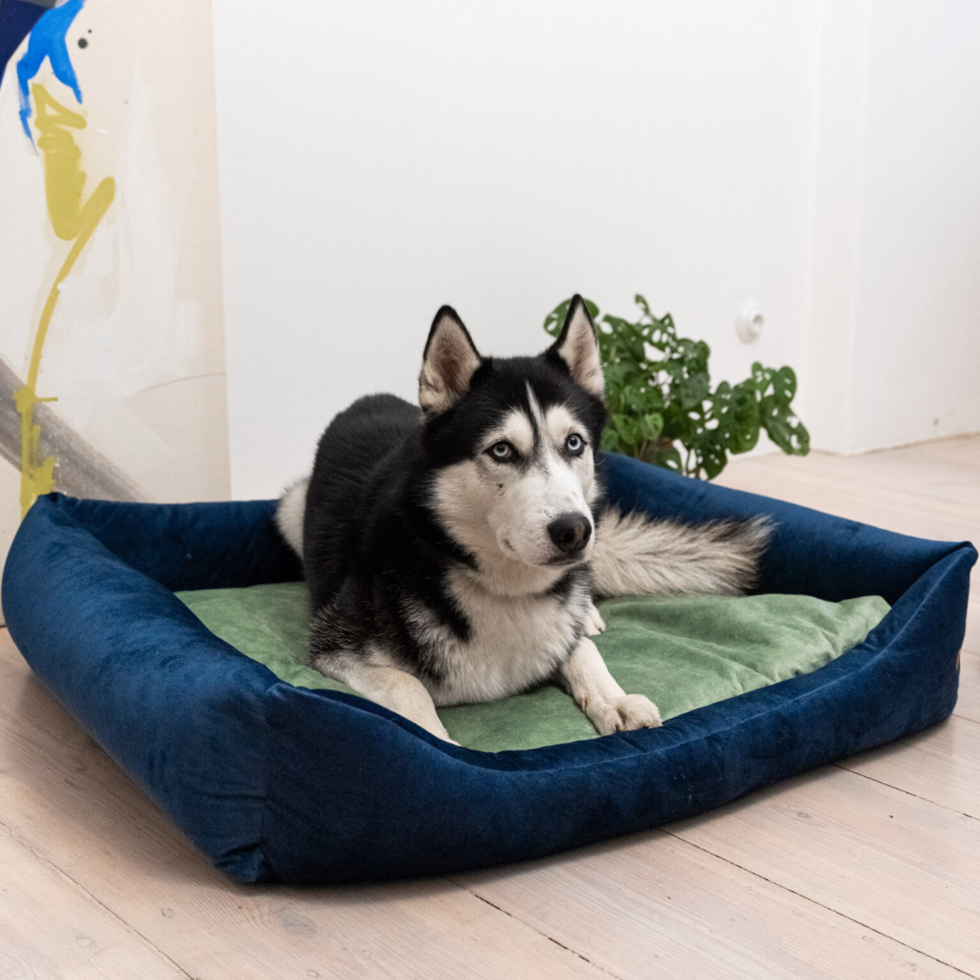 Hundebett "Frida" Dunkelblau