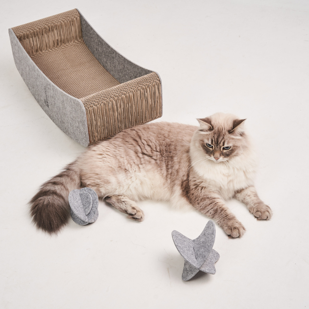 Swing Box – Das ultimative Spiel- & Ruheparadies für deine Katze!