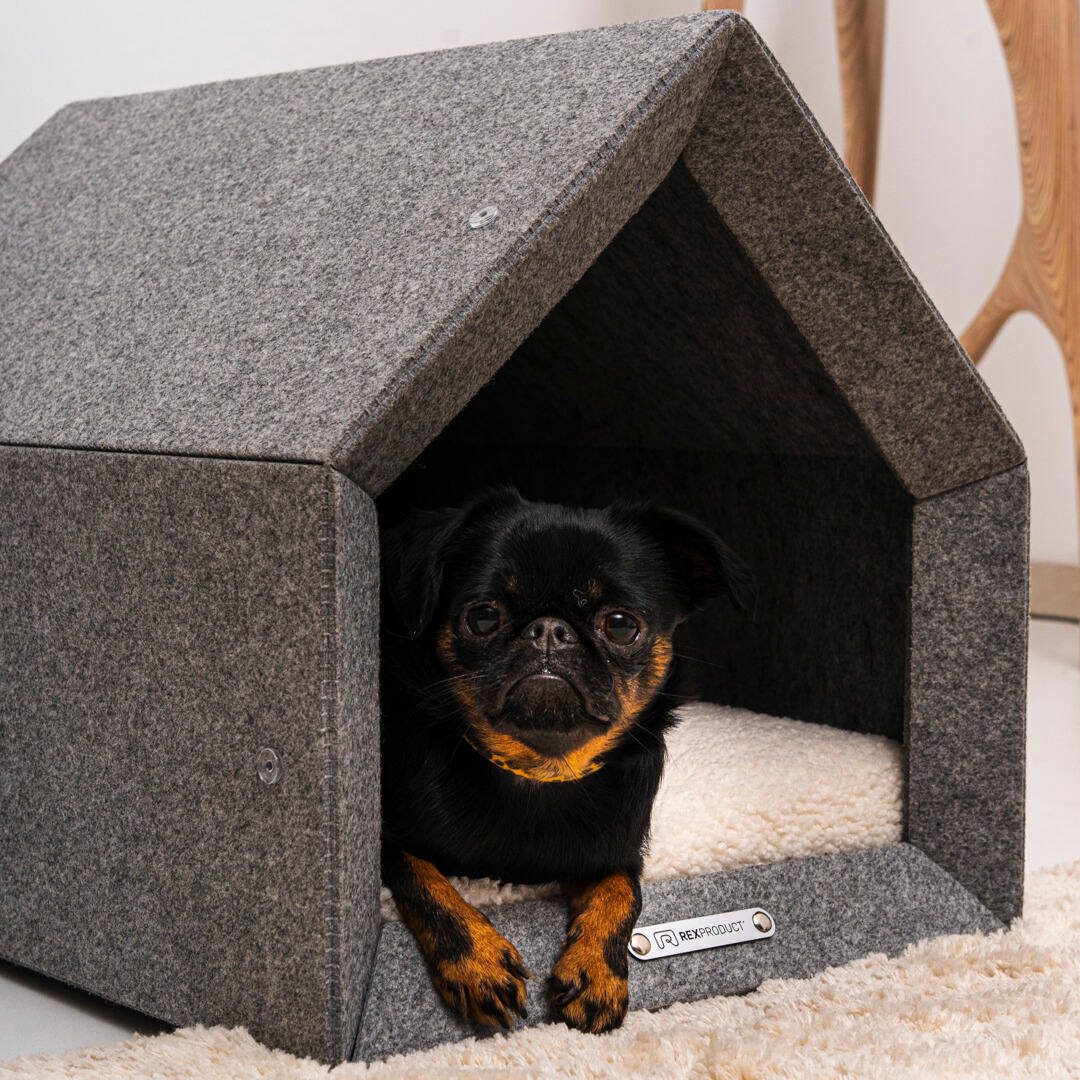 PETHOME – Mehr als ein Hundebett, ein echtes Zuhause!