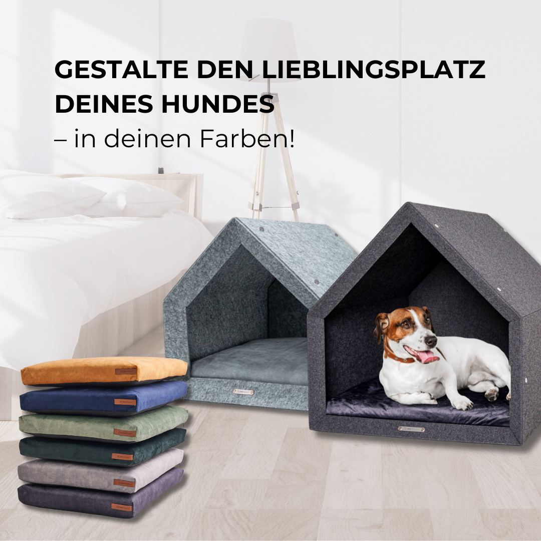 PETHOME – Mehr als ein Hundebett, ein echtes Zuhause!