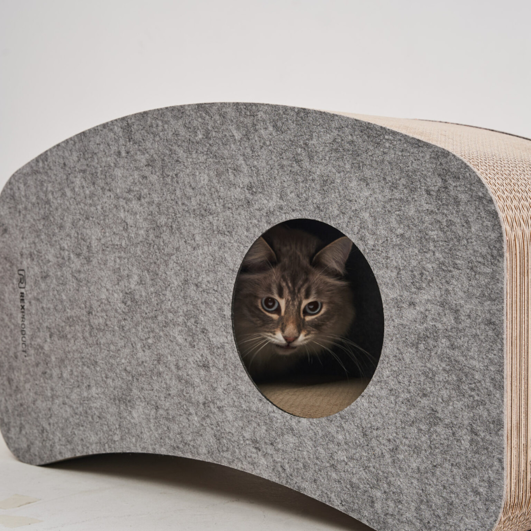 Swing Home – Das ultimative Katzenparadies!