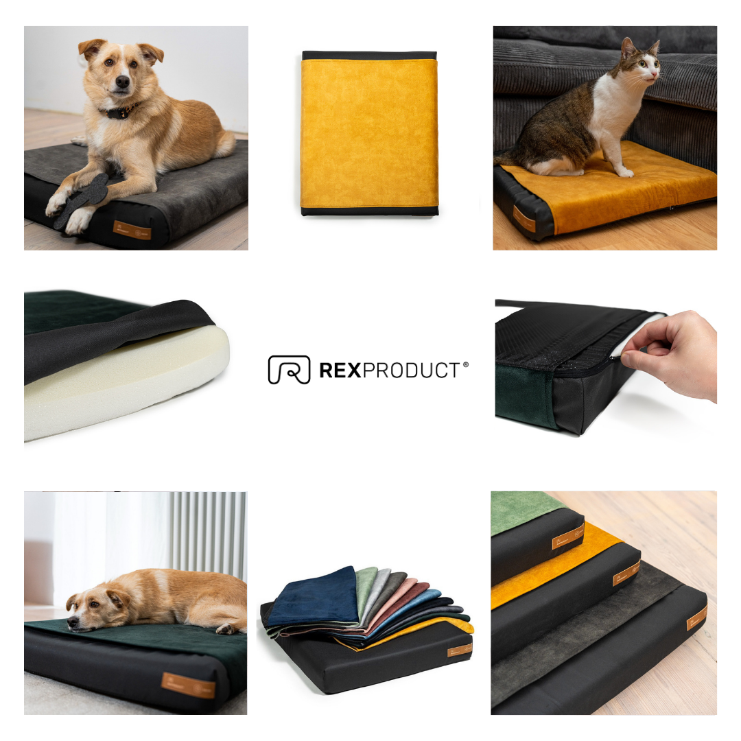 "Ori" orthopädisches Hundekissen