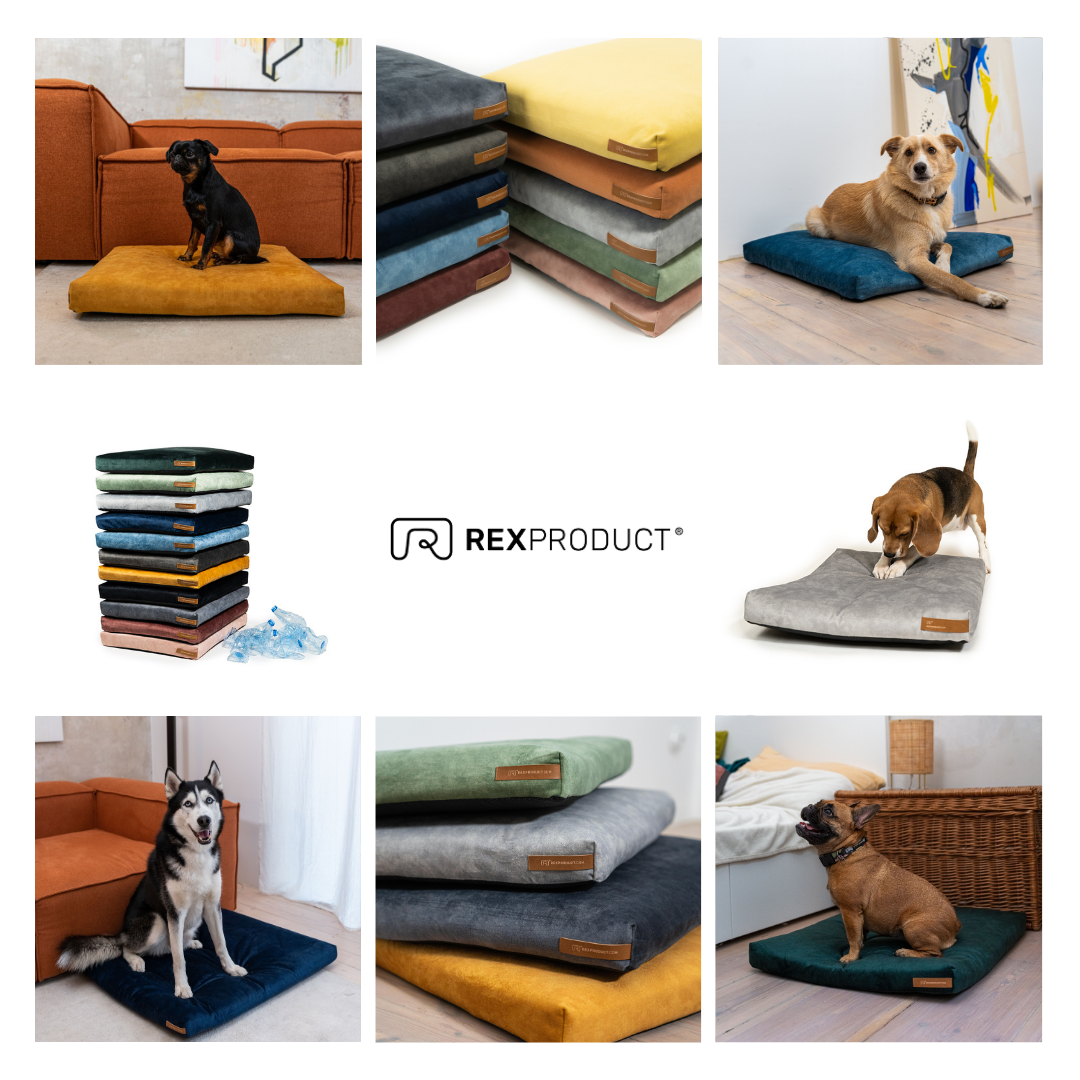 "Softpet" Hundekissen