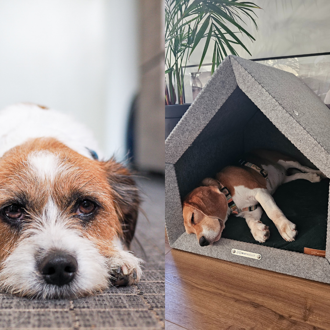 1.png__PID:d2432699-f5bc-488e-8e07-38a731e73e42