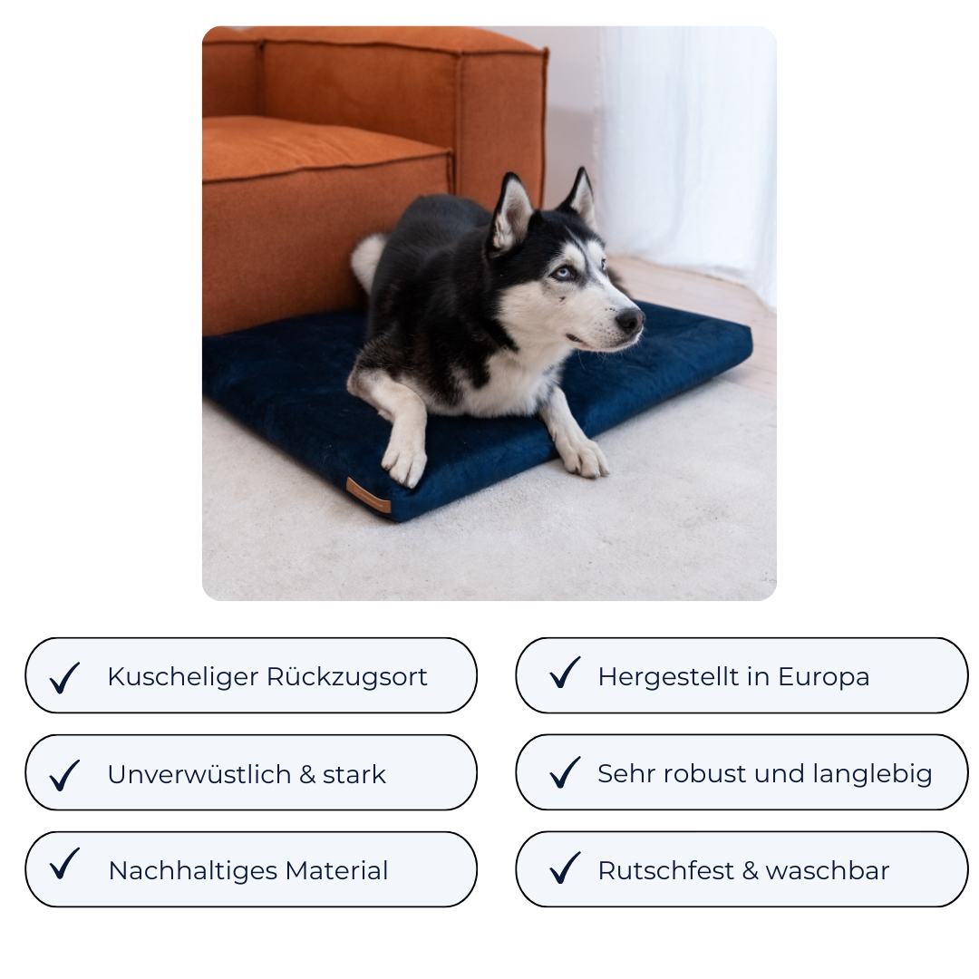 "Softpet" Hundekissen