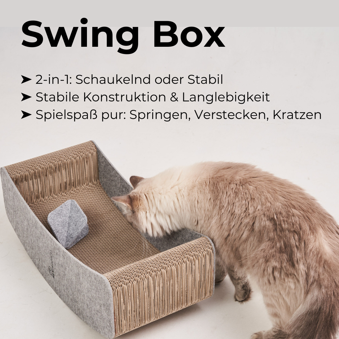 Swing Box – Das ultimative Spiel- & Ruheparadies für deine Katze!