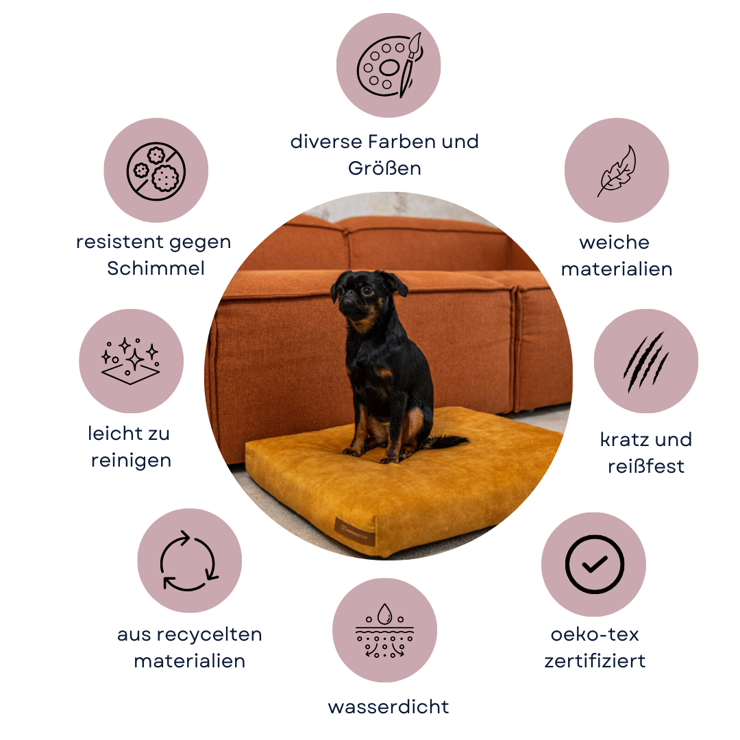"Softpet" Hundekissen