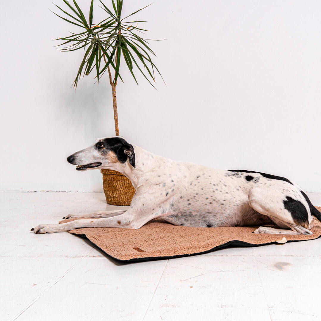 Reisematte „Mia“