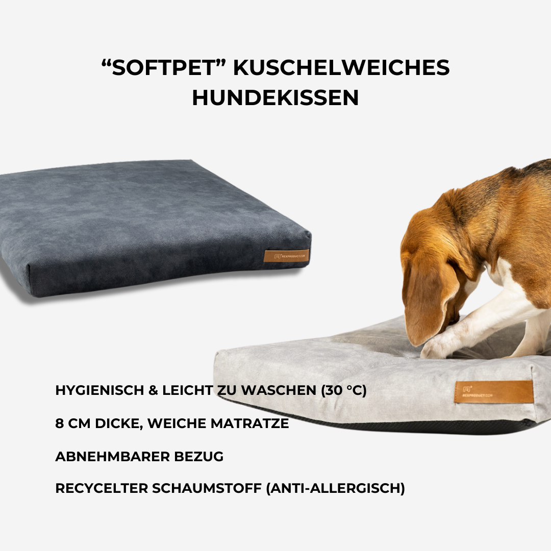 PETHOME – Mehr als ein Hundebett, ein echtes Zuhause!