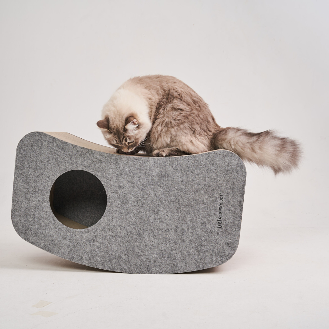 Swing Home – Das ultimative Katzenparadies!