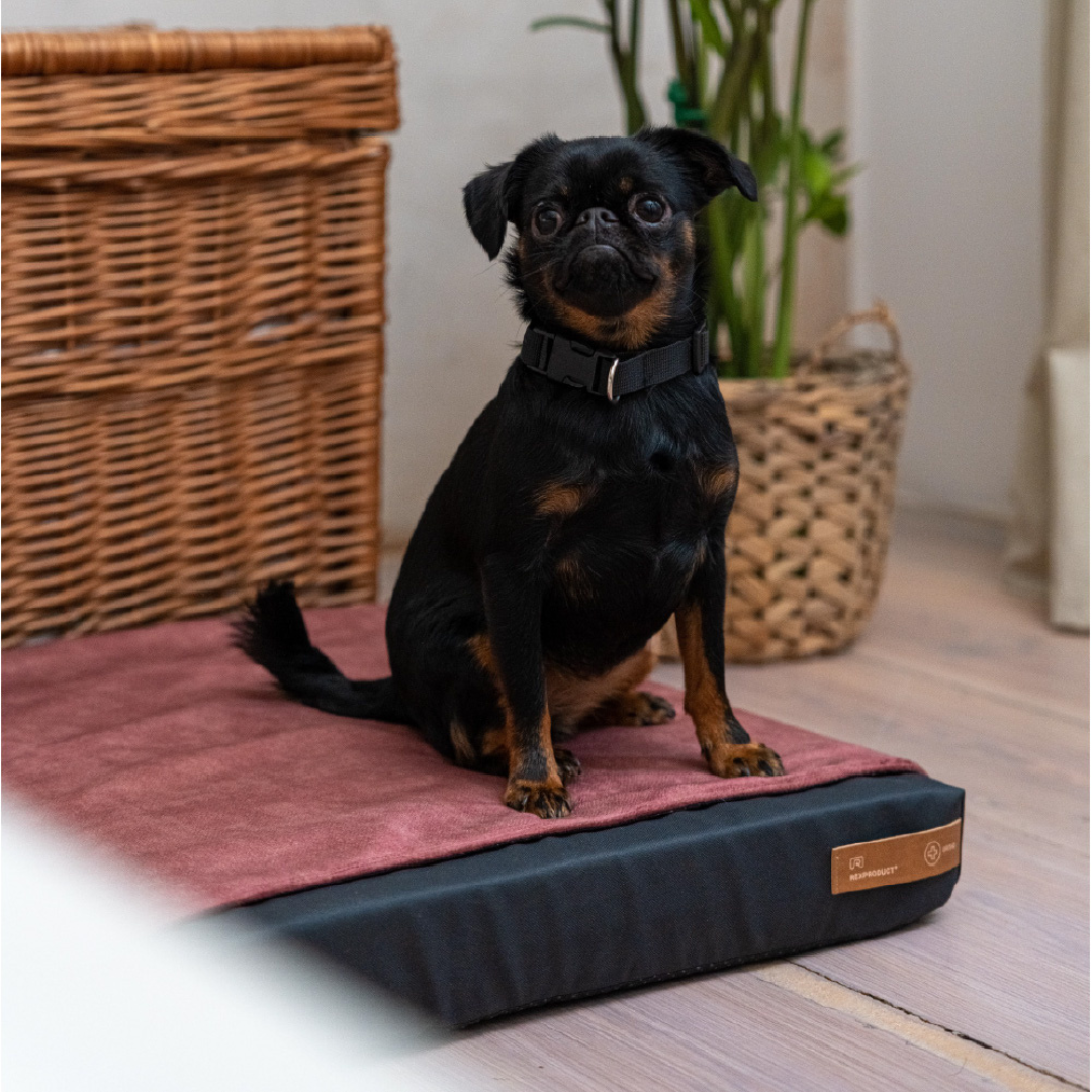 "Ori" orthopädisches Hundekissen