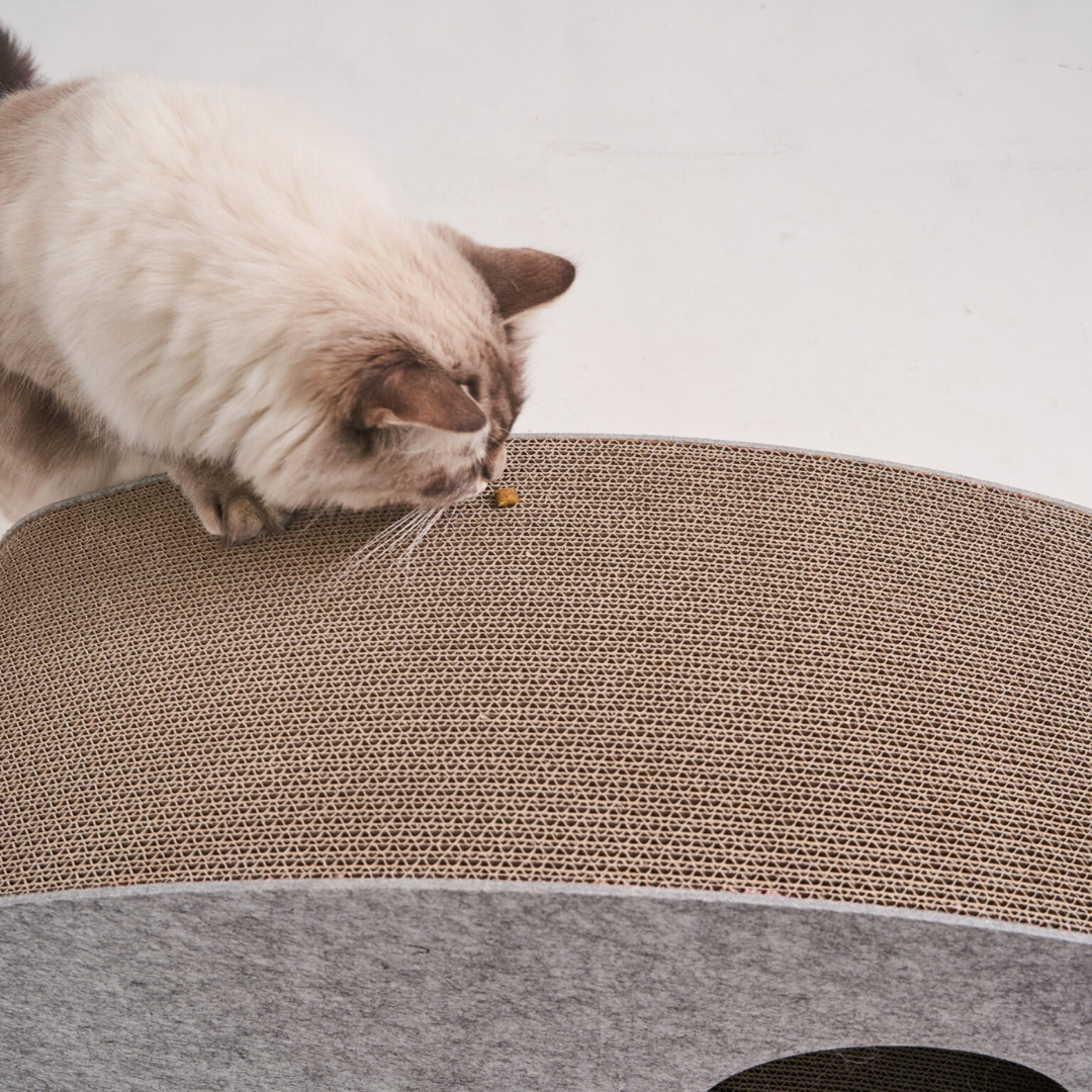 Swing Box – Das ultimative Spiel- & Ruheparadies für deine Katze!