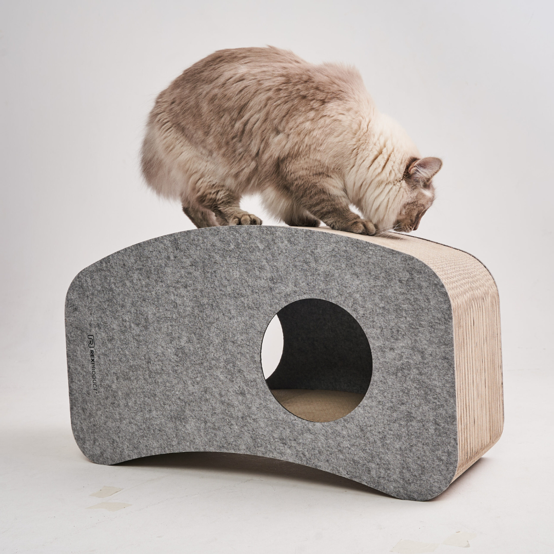 Swing Home – Das ultimative Katzenparadies!