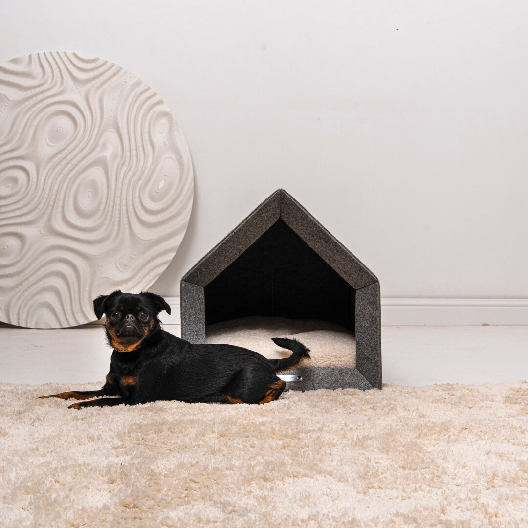 "Pethome" Teddy Hundehaus