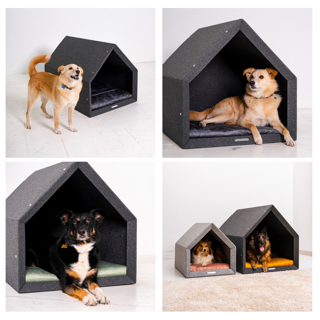 "Pethome" Teddy Hundehaus