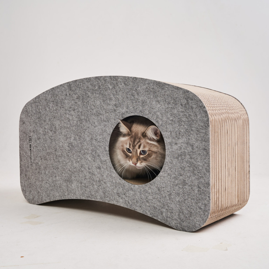 Swing Home – Das ultimative Katzenparadies!