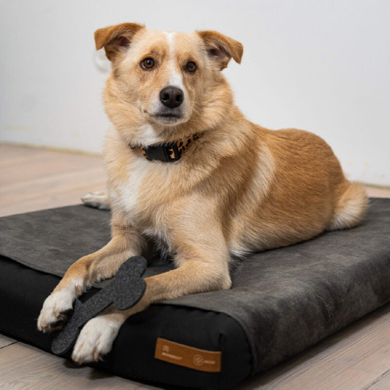 Upgrade to Orthopedic Pillow