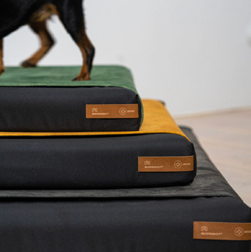 Upgrade to Orthopedic Pillow