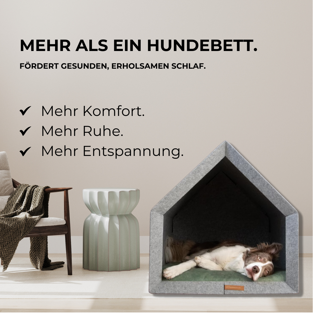 Produkt Bilder PETHOME 2.0 - November.png__PID:ee0f8adc-adb2-4a72-9d68-c54dd30668e7