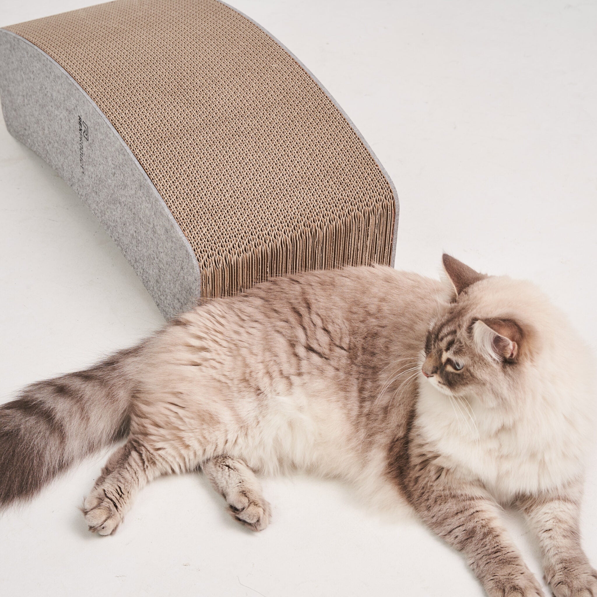 Swing Box – Das ultimative Spiel- & Ruheparadies für deine Katze!