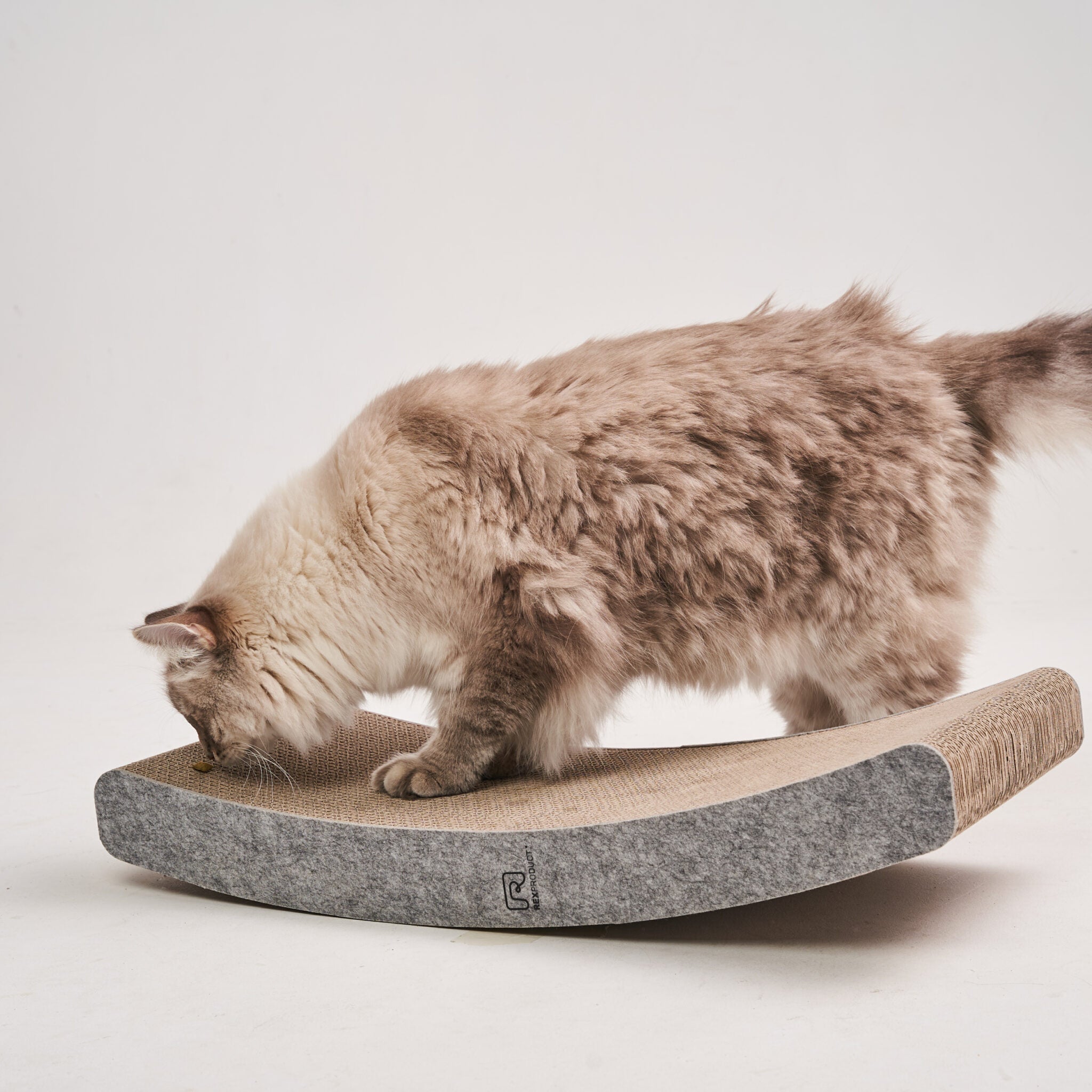 Katzenkratzbaum Schaukel