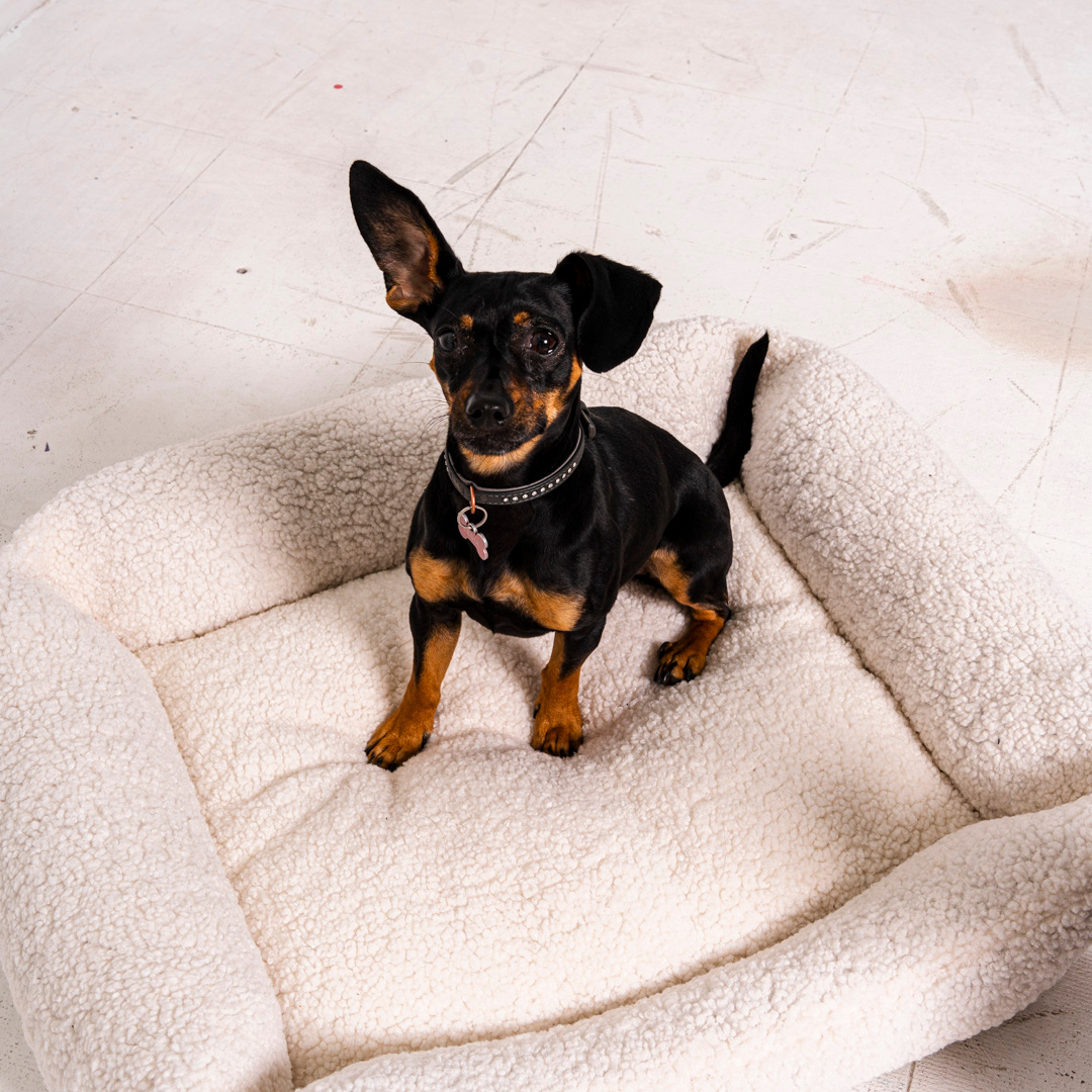 dog bed "Frida Teddy"