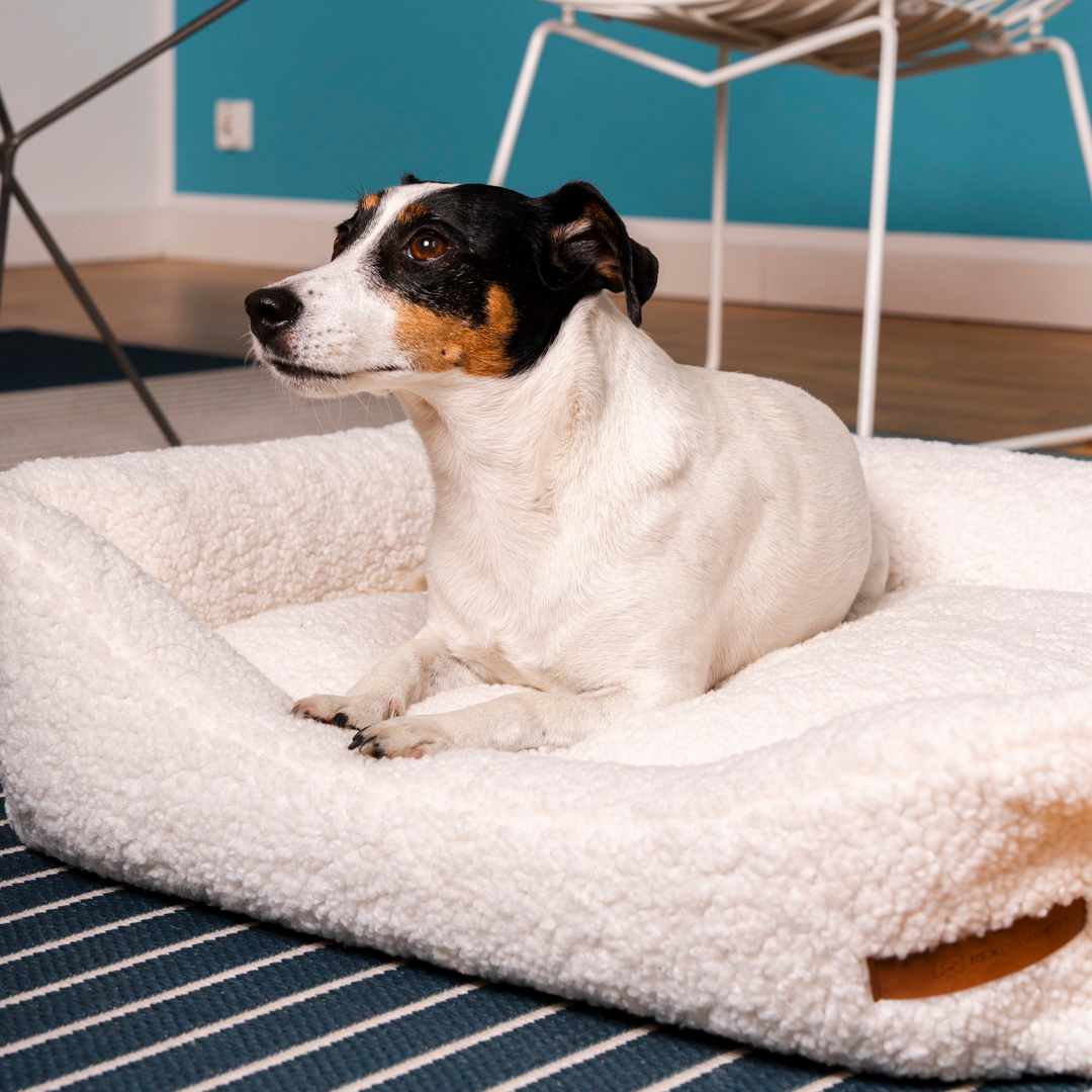 dog bed "Frida Teddy"