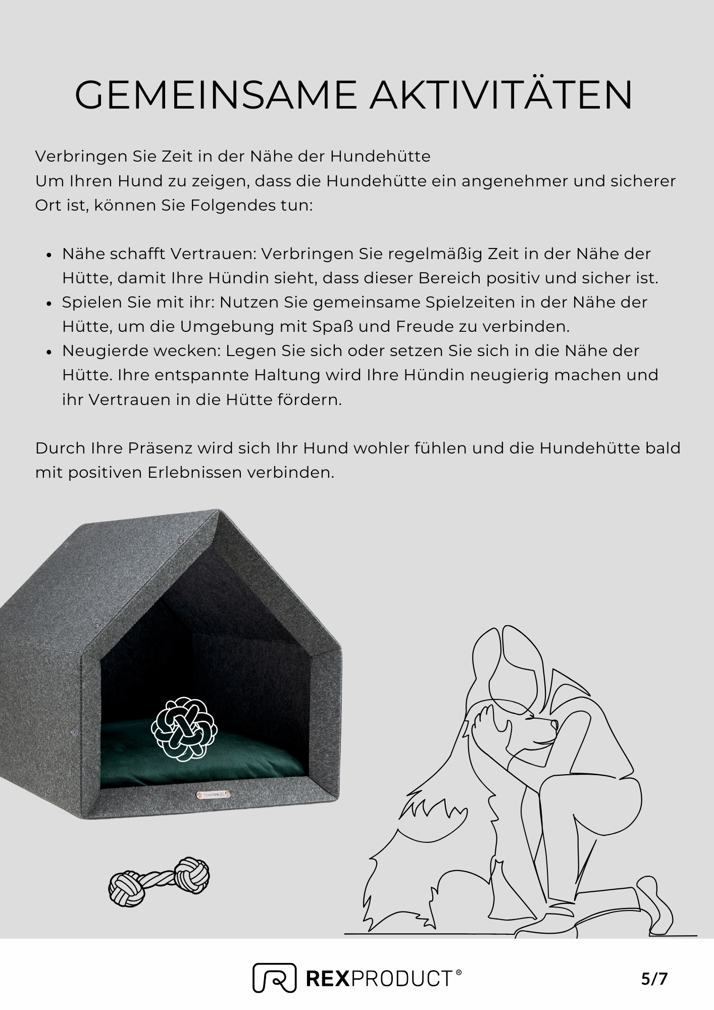 E-Book - Hund an sein Pethome gewöhnen