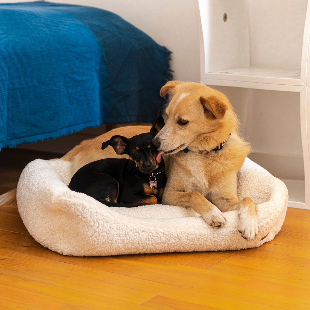 dog bed "Frida Teddy"