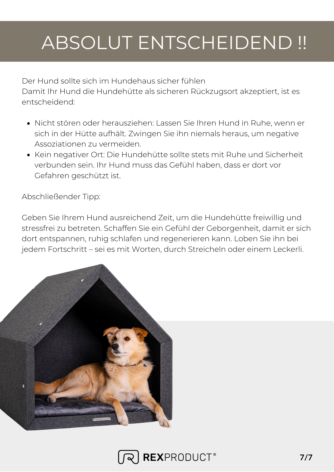 E-Book - Hund an sein Pethome gewöhnen