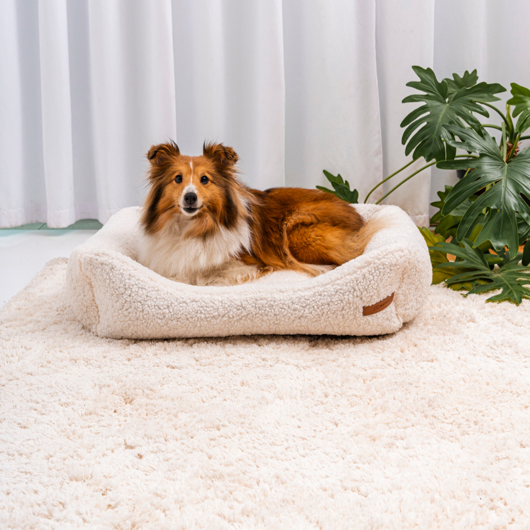 dog bed "Frida Teddy"